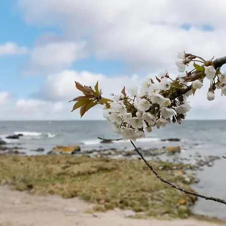 Holiday home Ensio - 150m From The Sea In Bornholm By Interhome Allinge-Sandvig